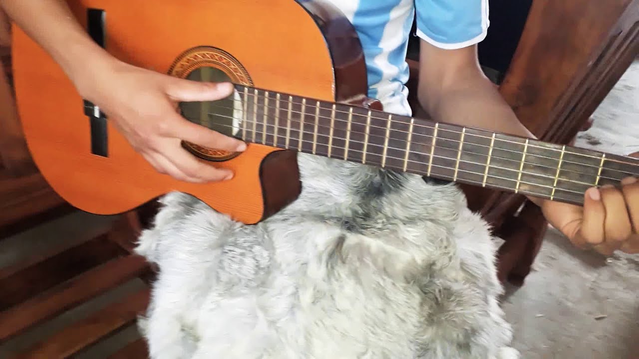 Dani - A mi Lado acordes (Guitarra) - YouTube