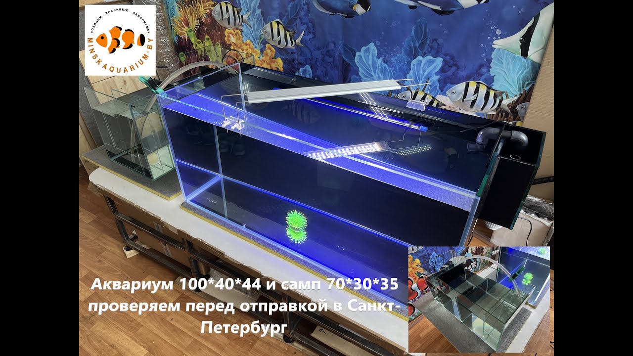 Морской аквариум с нижним сампом. Проверка перед отправкой в Санкт ...
