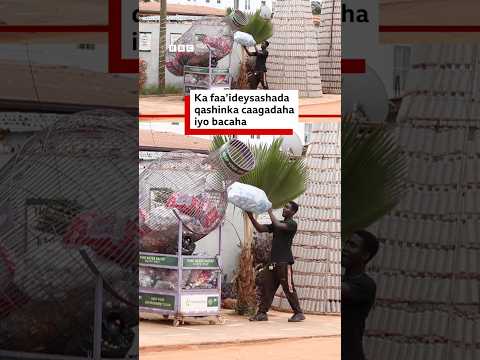 Dalka Ghana nin ayaa go'aansaday inuu caagadaha la tuuray u beddelo wax faa'iido leh .