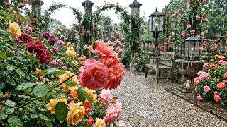 Quiet Rain in a Romantic Garden [4K ASMR] 🍃 Soft Rain on Roses for Deep Sleep & Meditation
