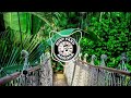 REAL 17 Lamana Taitari Solomon Islands Music 2022 