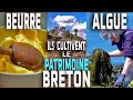 Ref:4UIUslIb-G4 Algues et beurre de barrate du pays de cornouaille - documentaire