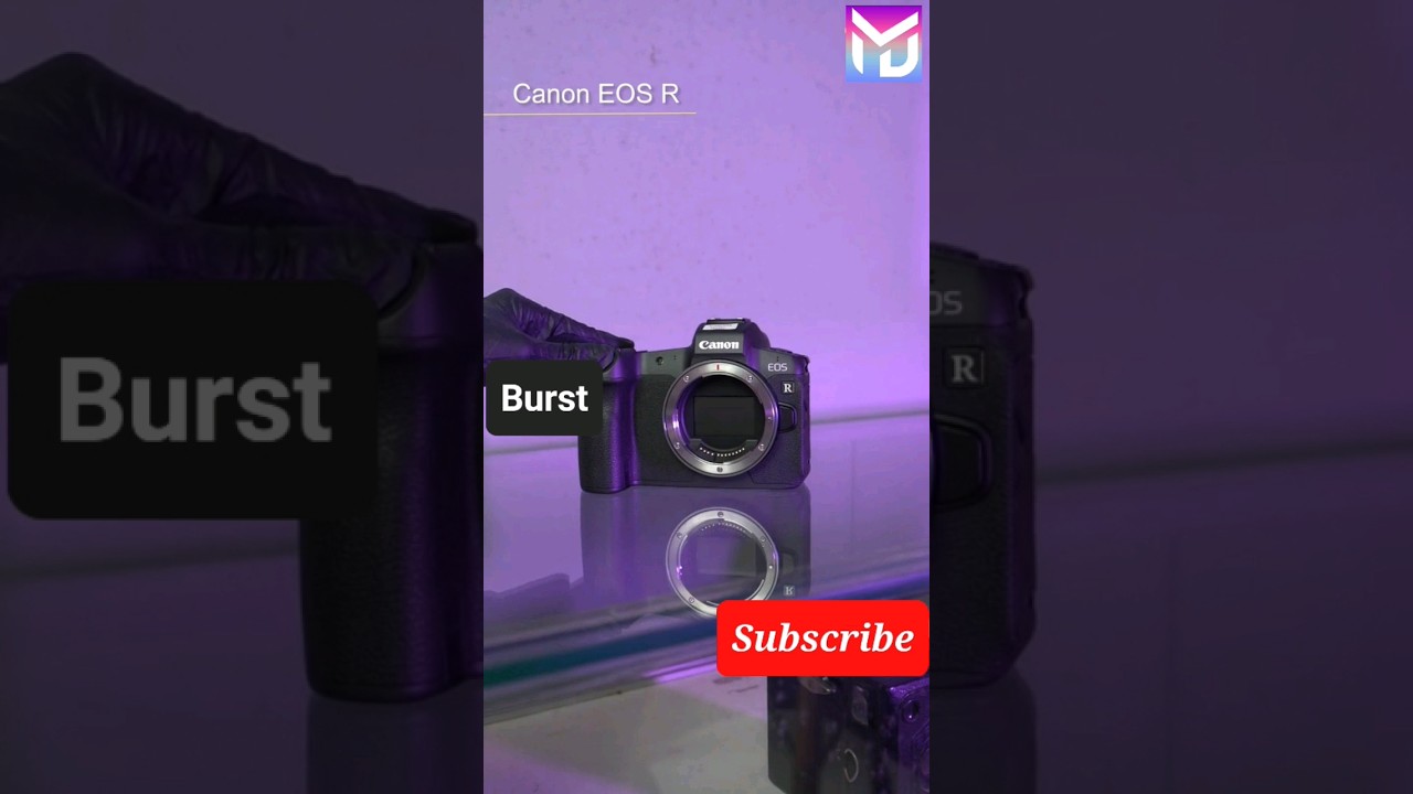 Canon Camera Burst Test 650D, 5D IV, 7d, EOS R, R6, R7 