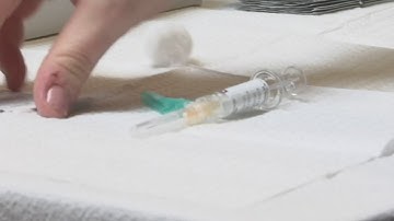 MSU Immunization Records