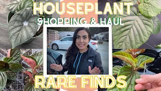 Houseplant shopping tour and Haul/Check out my RARE and AMAZING Peperomia finds!!! 💚