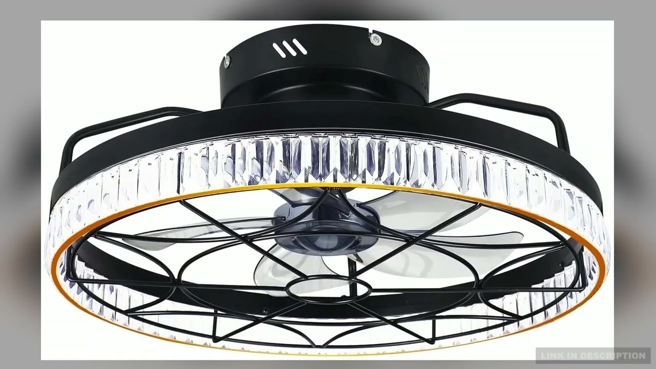 20 Caged Ceiling Fans with Lights and Remote APP Control5 Enclosed Blades 6 Wind Speeds for