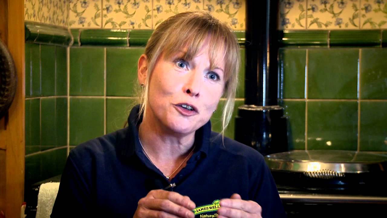 PETS FOR LIFE Episode 04 HD