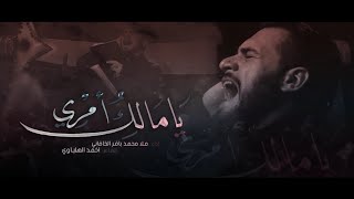 يا مالك أمري | الملا محمد باقر الخاقاني - هيئة حبيب فاطمة عليها السلام - العراق بغداد