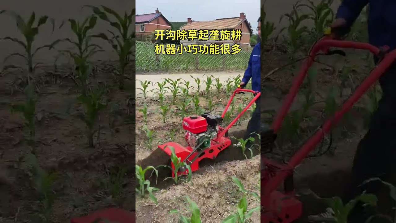 Mini Tiller Machine in Action | Powerful Farming Tool for Easy Soil Preparation part 838