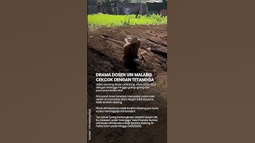 Drama Dosen UIN Malang Cekcok dengan Tetangga