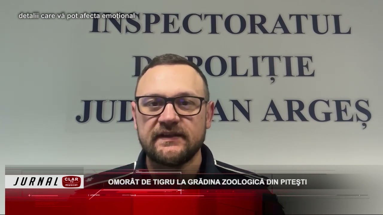 Omorât de tigru, la Grădina Zoologică ( 09 12 2024 )