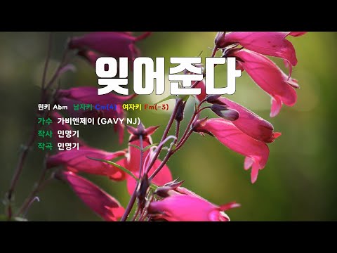 [은성 반주기] 잊어준다 - 가비엔제이(GAVY NJ)