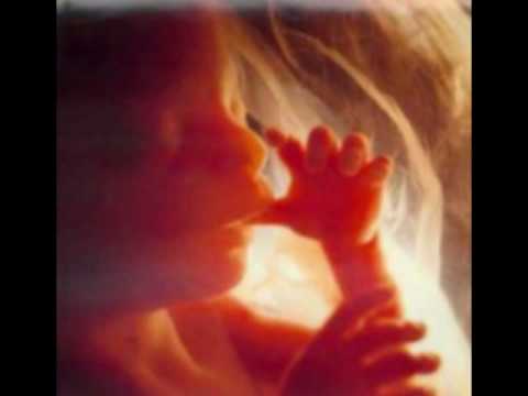 Video: Tehotenstvo, Potraty A úmysly Tehotenstva: Protokol Na Modelovanie A Vykazovanie Globálnych, Regionálnych A Národných Odhadov