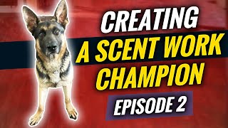 Episode 2 Creating a Scentwork Champion | Building bond