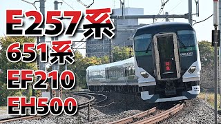 【臨時特急E257系・吹行カーブ】651系・EF210・EH500 【Temporary Limited Express E257 Series, Blowing Curve】651 Series