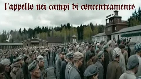 Chi sono i sopravvissuti della Shoah?