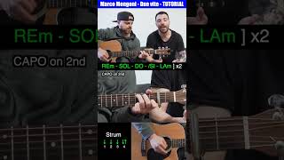 Marco Mengoni - Due Vite - Guitar Cover Tutorial  #shorts