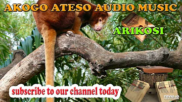 AIYAR EONG ANUPEMIR AKOGO BY ARIKOSI @ AKOGO ATESOT - LIVE TESO MEDIA TV