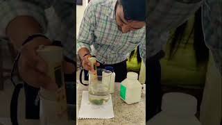 Preparation of Buffer Solution🧪#bioscience#practical#buffersolution#shortvideo✨