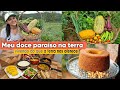 Fazendo a feira no quintal de casa   bolo de amendoim fofinho e delicioso  almoo caseiro do dia