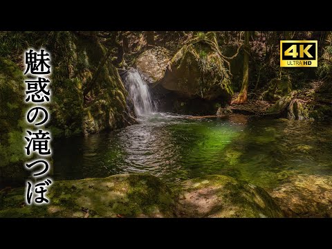 【滝の音】魅惑の滝つぼ　キビウの滝（愛知・北設楽郡設楽町）