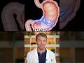 Your Stomach Is Basically a Battery 🔋⚡#WeirdScience #BodyTech #explainershorts