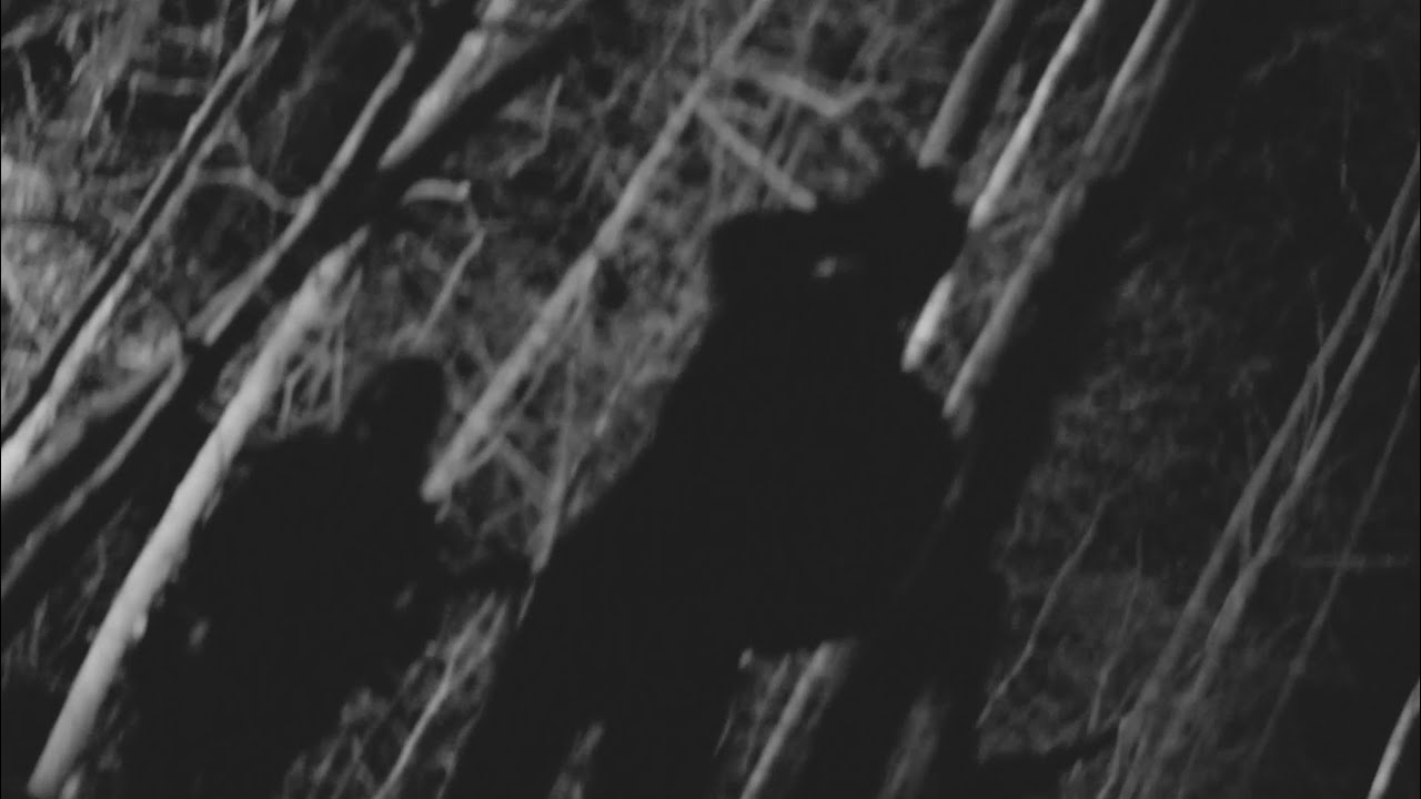 M:40 - In I Labyrinten (official video)