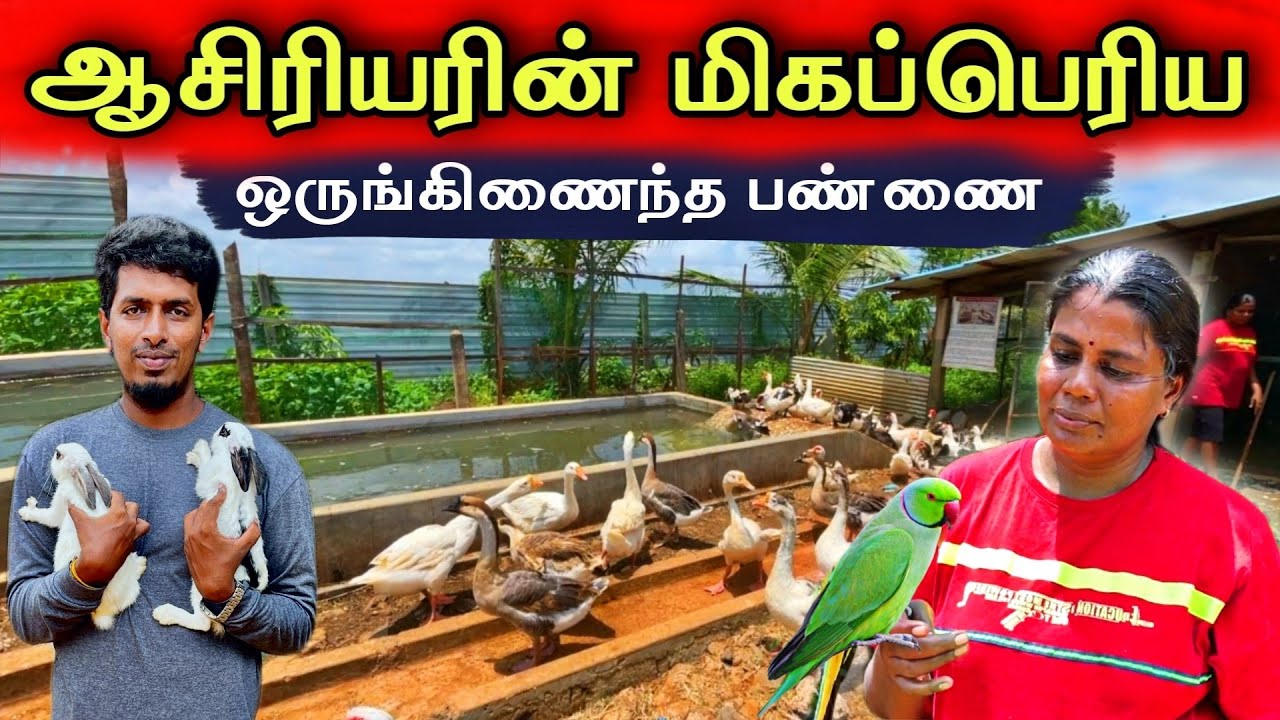 இலங்கையில் ஆசிரியையின் மிகப் பெரிய ஒருங்கிணைந்த பண்ணை 😮😍 The Teacher's Largest integrated Farm 😊