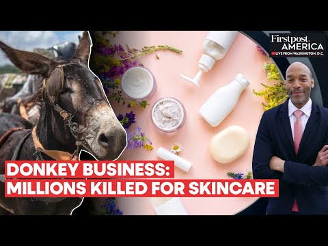 Millions of Donkeys Killed in Africa For China's "Miracle" Skincare Product | Firstpost America