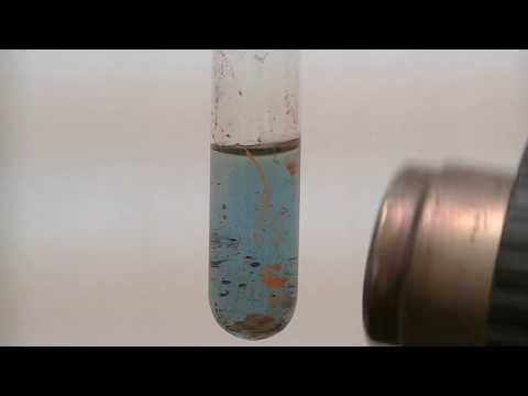 Mercury Chemistry: Hg(CN)2 using Prussian Blue
