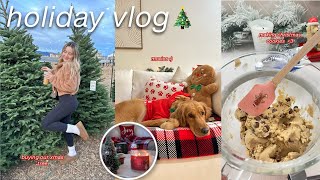 the ULTIMATE holiday vlog ❄️ | baking cookies, real christmas tree, vlogmas 2023