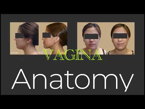 DO YOU KNOW YOUR VAGINA Understanding Key Structures And Functions Dr David Matlock
