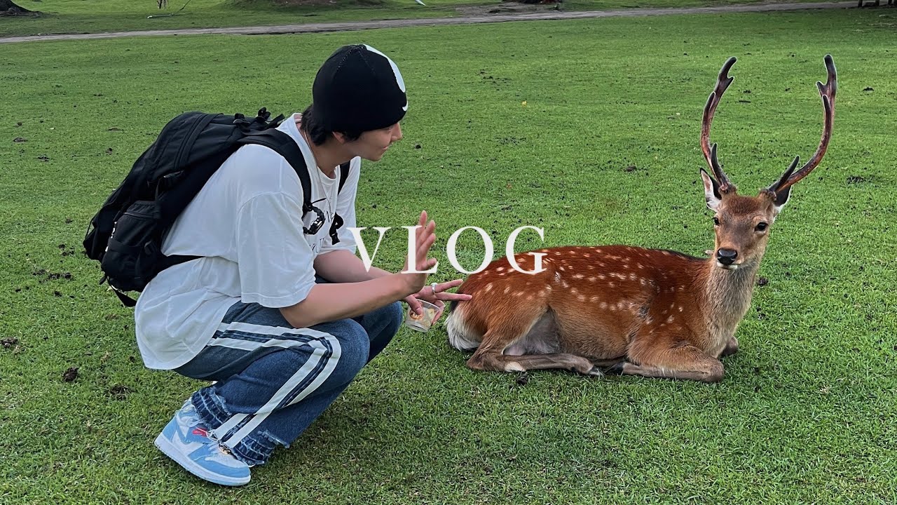 배타고 일본 가보실래요? 흔하지 않은 오사카 근교 여행 브이로그 | 물 위에 떠있는 일본의 수중마을 | 팬스타크루즈 홍보 영상