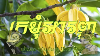 Video voorbeeld van "ក្រមុំអារញ/Chomreang Khmer"