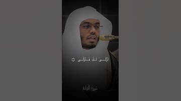 من صلاة العشاء ٤ صفر ١٤٤٧ | #قرآن #ياسر_الدوسري #الحرم_المكي #تلاوة #yasseraldossary #quran 