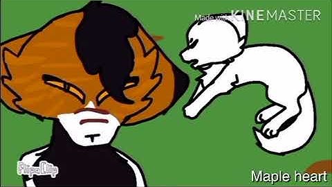 Complete mini mapleshade 24 hr map