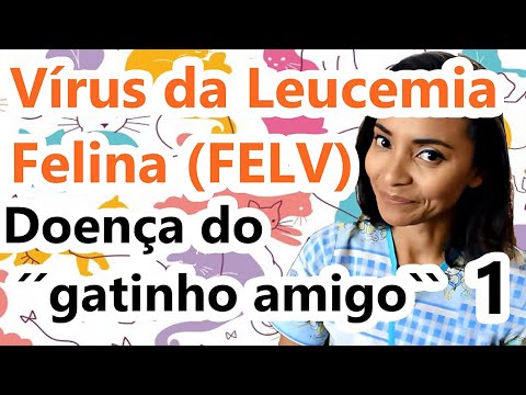 Vídeo: Virus De La Leucèmia Felina (FeLV): Símptomes I Tractament