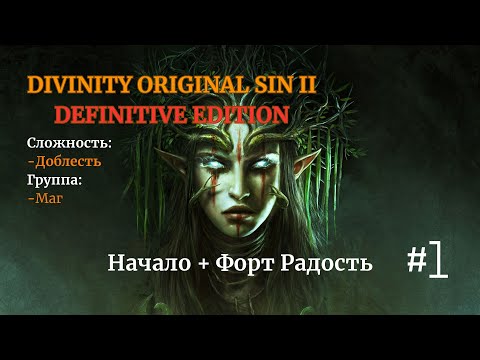 Видео: Divinity: Original Sin II [ DE ]. Соло. Сложность: Доблесть. #1
