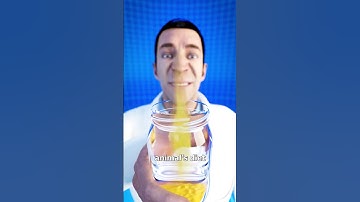 Beaver Butt Glands Used For Vanilla Flavoring 🤢