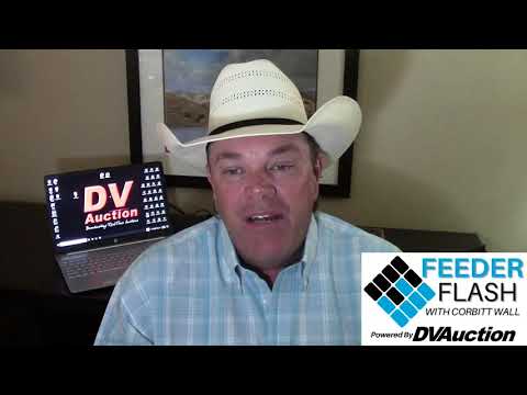 Feeder Flash 7/22:  Cleaning Up Summer Yearlings