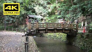 4K From Tamagawa river to Todoroki Ravine park  多摩川から等々力渓谷公園まで long walk