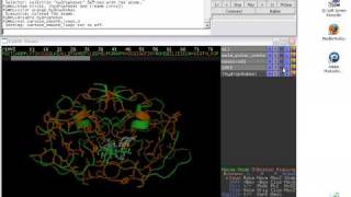 Hydrophobics and Strucure Overlay.avi