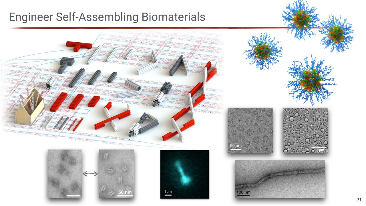 Marras - Biomaterials Faculty Candidates session - AIChE 2020