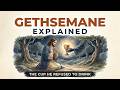 The Garden of Gethsemane Explained: Why Jesus Had to Face the Bitter Cup No One Shows