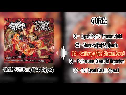 Hymns Of Stench Melting Bodies In Deep Saprophagous Phagocytosis Juices artwork