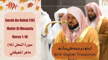 Surah An Nahl 16 Verse 1-18 Mahir Al Moaqaly سورة النحل ماهر المعيقلي Urdu/English Text #islam