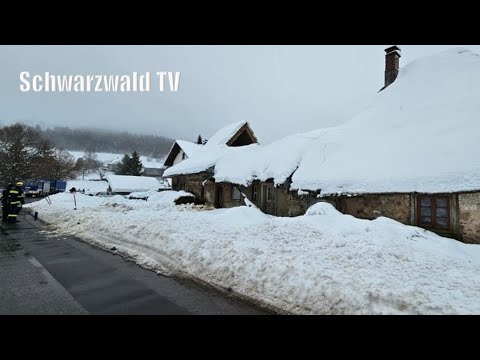 🚨😱 Eilmeldung: Neuer PAK-Fall im Südschwarzwald - Dieter Berger berichtet live vor Ort [10.05.2024]