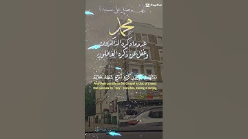 تلاوة خاشعة عطرة مباركة جميلة عذبة للشيخ ماهر المعيقلي ماتيسر من سورة الفتح