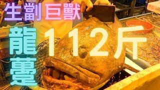 生劏大怪獸龍躉😱Giant grouper cutting 龍膽石斑,第一次見活體過百斤巨獸😍真係幾震撼~fishcutting香港海鮮~社長遊街市Seafood