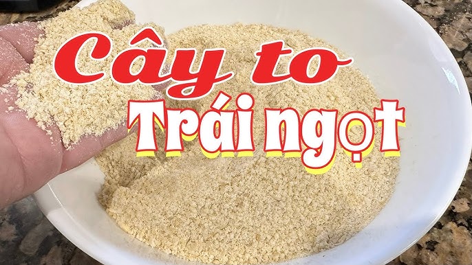 Ăn Trái Cây Tô Có Mập Không? Giải Đáp Chi Tiết Và Lời Khuyên